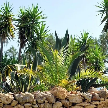 Masseria Agriturismo Il Sorriso Degli Ulivi - Dimora di Charme-2